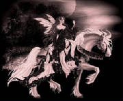 NewLight2.jpg