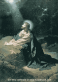 th_427.gif